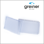 LT_2_24_Greiner