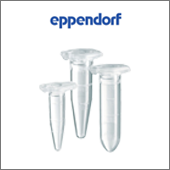 ILD_2_24_Eppendorf-1