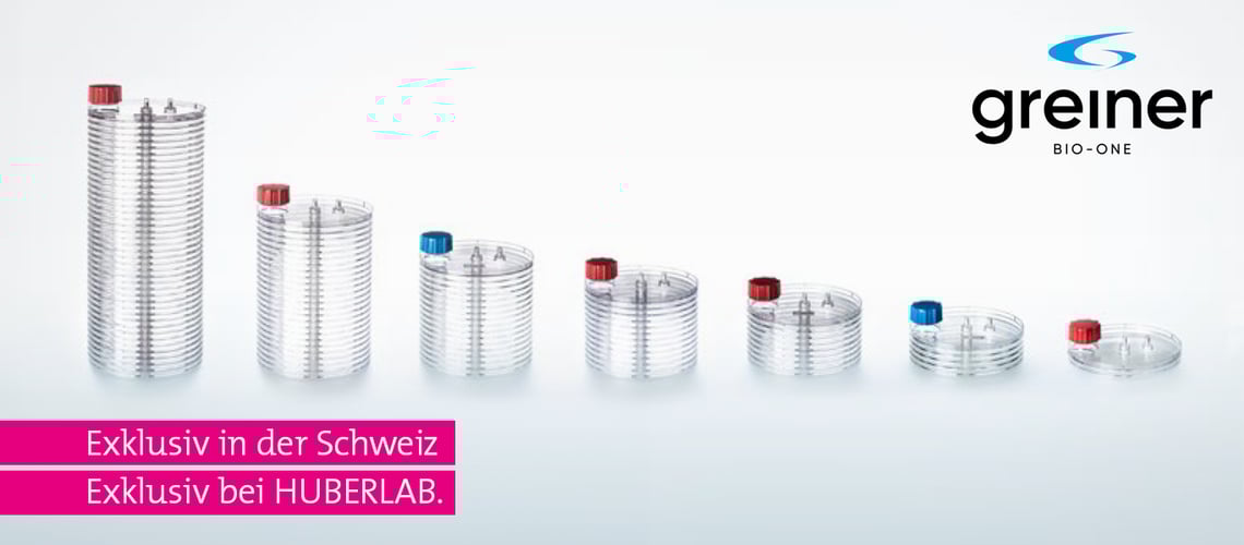 01_Newsletter_Titel_1366x600px_2024_Greiner_DE