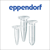 HOTM_07_08_eppendorf